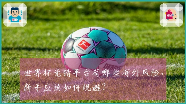 世界杯竞猜平台有哪些海外风险，新手应该如何规避？