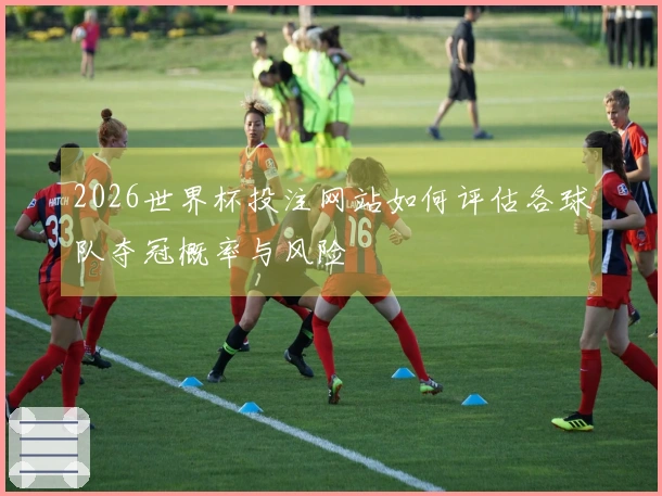2026世界杯投注网站如何评估各球队夺冠概率与风险