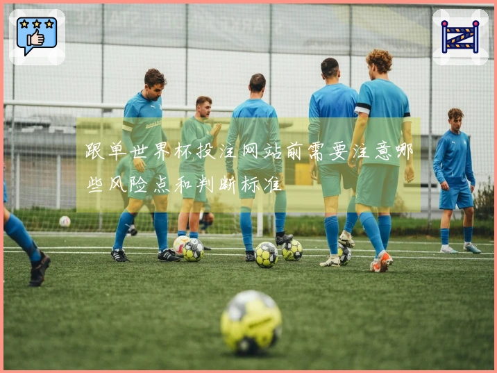 跟单世界杯投注网站前需要注意哪些风险点和判断标准