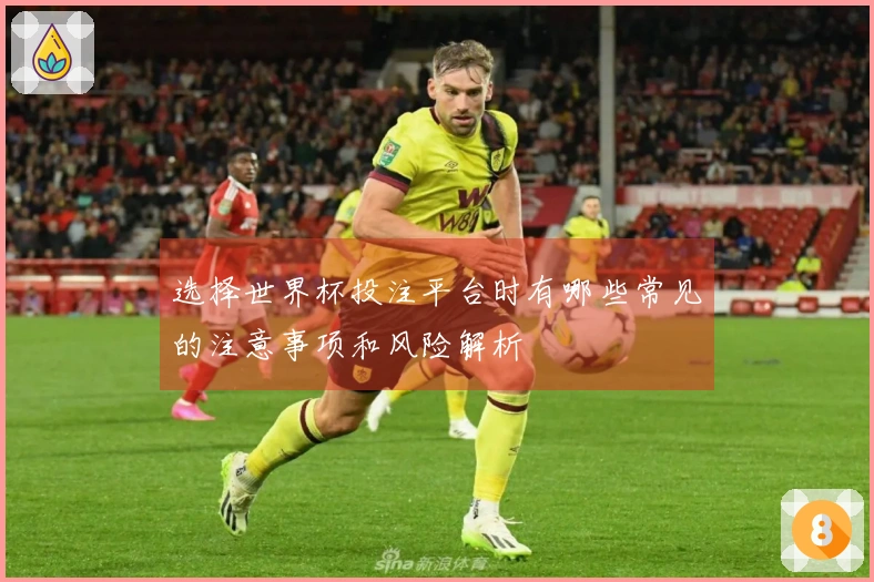 选择世界杯投注平台时有哪些常见的注意事项和风险解析