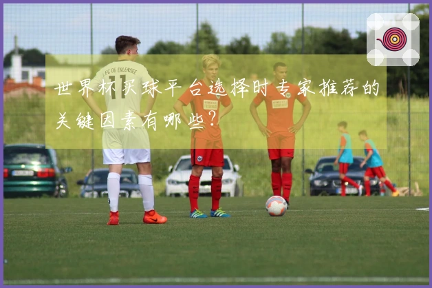 世界杯买球平台选择时专家推荐的关键因素有哪些？