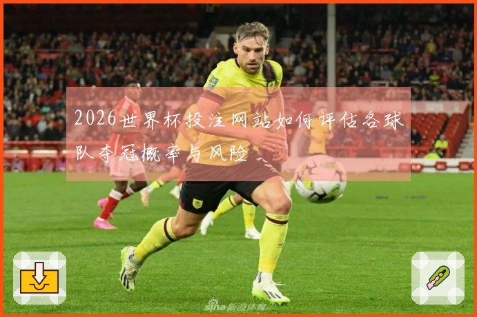 2026世界杯投注网站如何评估各球队夺冠概率与风险