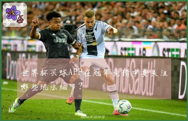 世界杯买球APP在冠军竞猜中要关注哪些玩法细节？