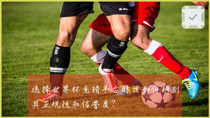 选择世界杯竞猜平台时该如何辨别其正规性和信誉度？