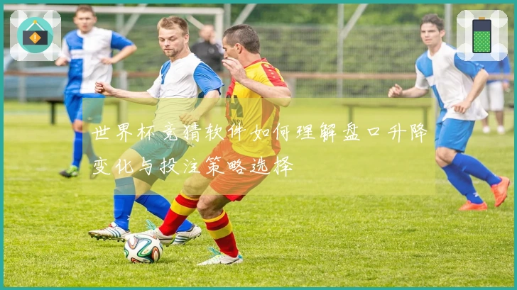 世界杯竞猜软件如何理解盘口升降变化与投注策略选择