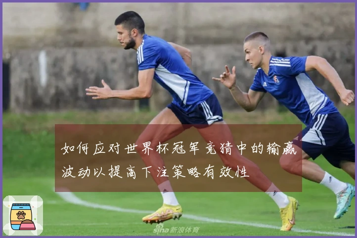 如何应对世界杯冠军竞猜中的输赢波动以提高下注策略有效性