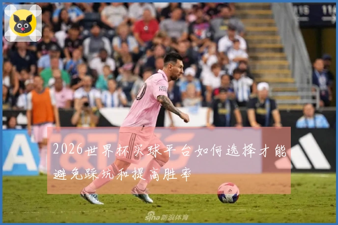 2026世界杯买球平台如何选择才能避免踩坑和提高胜率
