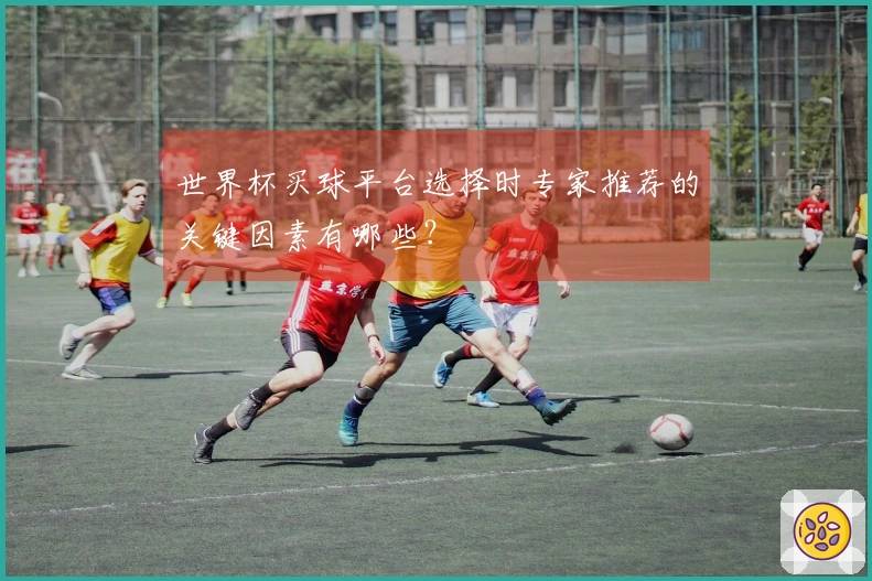 世界杯买球平台选择时专家推荐的关键因素有哪些？
