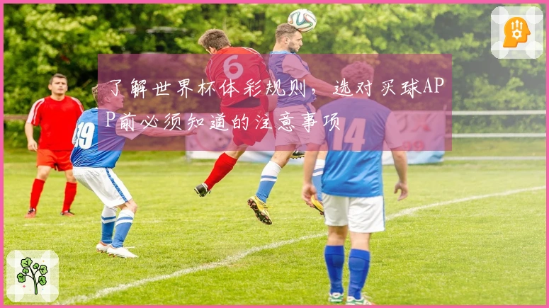 了解世界杯体彩规则，选对买球APP前必须知道的注意事项