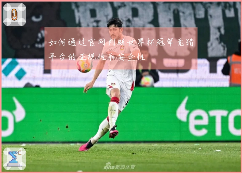 如何通过官网判断世界杯冠军竞猜平台的正规性和安全性