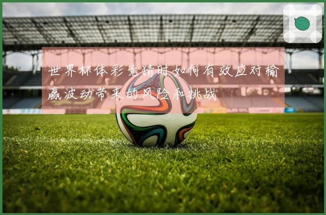 世界杯体彩竞猜时如何有效应对输赢波动带来的风险和挑战