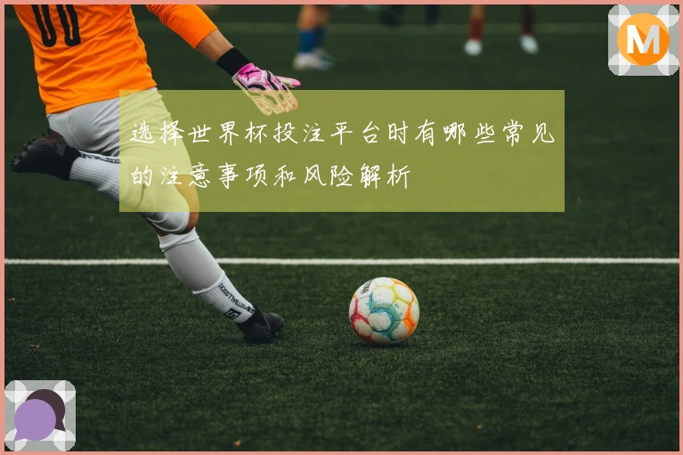 选择世界杯投注平台时有哪些常见的注意事项和风险解析