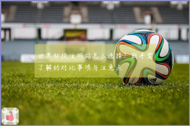 世界杯投注网站怎么选择？新手需了解的对比事项与注意点