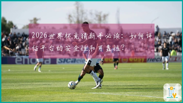 2026世界杯竞猜新手必读：如何评估平台的安全性和可靠性？