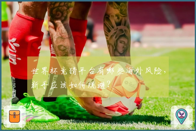世界杯竞猜平台有哪些海外风险，新手应该如何规避？