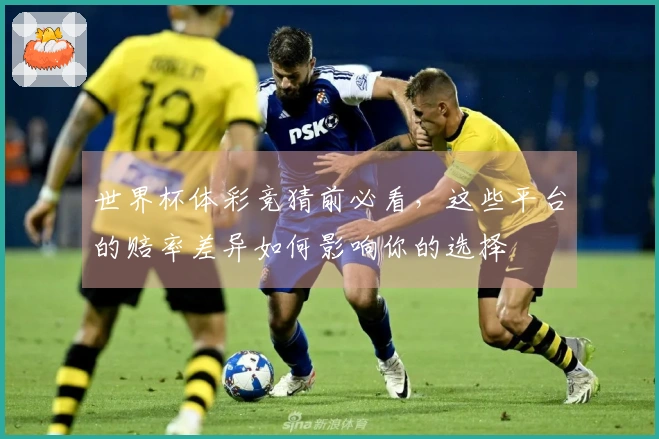 世界杯体彩竞猜前必看，这些平台的赔率差异如何影响你的选择