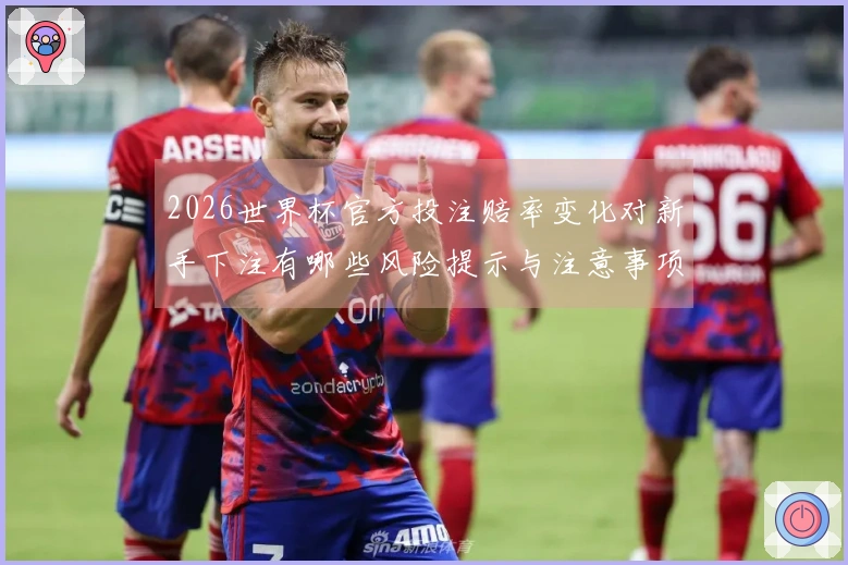 2026世界杯官方投注赔率变化对新手下注有哪些风险提示与注意事项