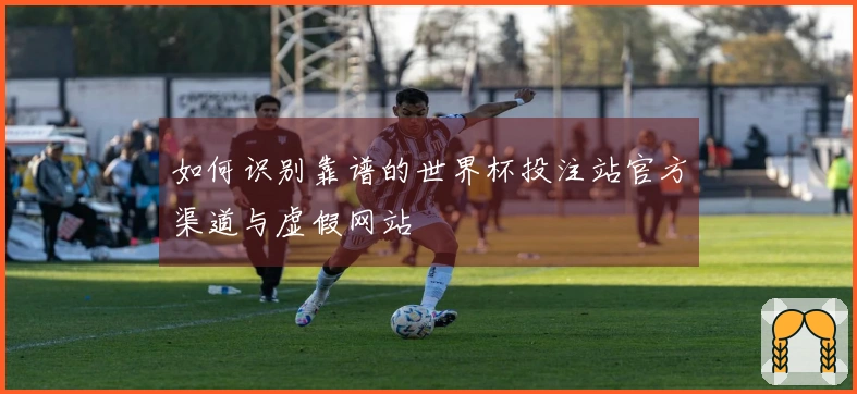 如何识别靠谱的世界杯投注站官方渠道与虚假网站