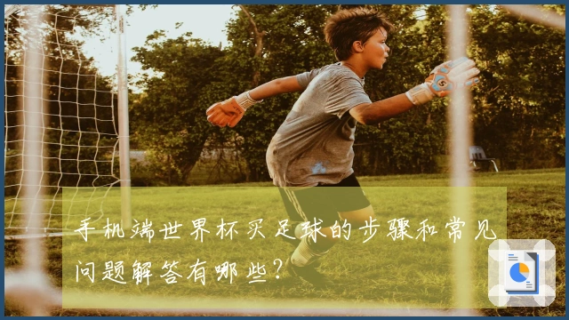手机端世界杯买足球的步骤和常见问题解答有哪些？