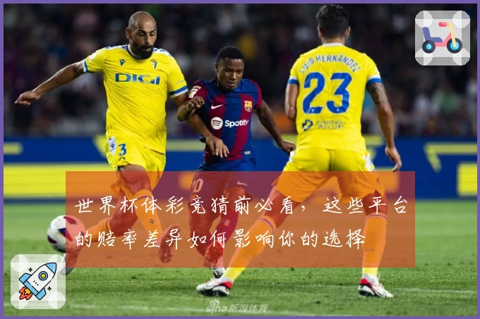 世界杯体彩竞猜前必看，这些平台的赔率差异如何影响你的选择