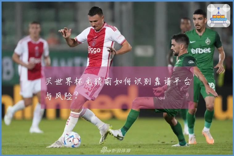 买世界杯竞猜前如何识别靠谱平台与风险？