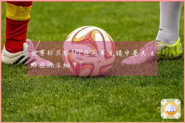 世界杯买球APP在冠军竞猜中要关注哪些玩法细节？