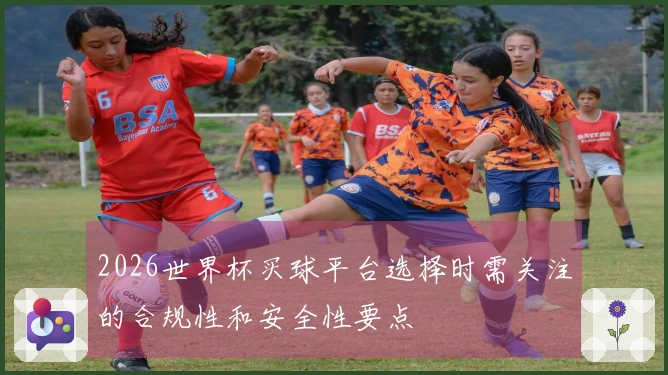 2026世界杯买球平台选择时需关注的合规性和安全性要点