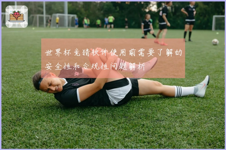 世界杯竞猜软件使用前需要了解的安全性和合规性问题解析